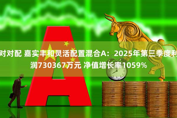 对对配 嘉实丰和灵活配置混合A：2025年第三季度利润730367万元 净值增长率1059%